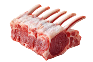 Raw rack of lamb isolated on transparent background. Raw rack of lamb cut freshly prepared for delicious gourmet isolated on white background.