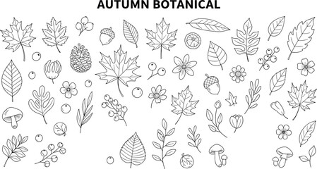 Autumn botanical elements collection, hand-drawn leaves, acorns, mushrooms, pinecones, seasonal nature sketch set, flat vector illustration © Mehebub Creatives
