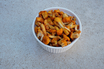 Closeup view of white bowl with golden chanterelle (Cantharellus cibarius) wild edible mushrooms