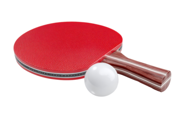 Red ping pong paddle and white ball isolated on transparent background. Red ping pong paddle and white ball ready for table tennis game play isolated on white background.