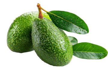 Two ripe green avocados with leaves isolated on transparent background. Fresh green avocados with leaves isolated on white background.