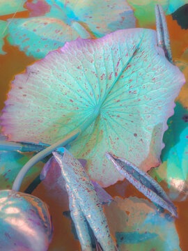 abstract watercolor background with flowers