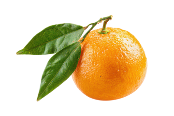 Fresh orange with green leaves isolated on transparent background. Fresh orange fruit with green leaves isolated on white background.