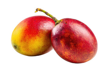 Fototapeta premium Ripe red and yellow mangoes with stem isolated on transparent background. Two ripe red and yellow mangoes with stems isolated on white background.
