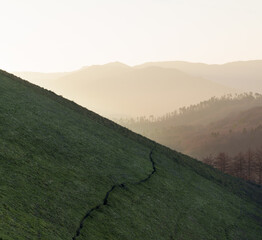 A path winds across a green meadow at the top of Bianditz, between Gipuzkoa and Navarre.