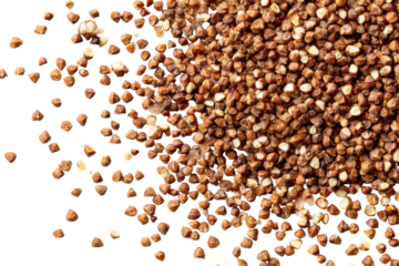 Pile of buckwheat grains isolated on transparent background. Close-up abstract view of scattered roasted buckwheat groats isolated on white background.