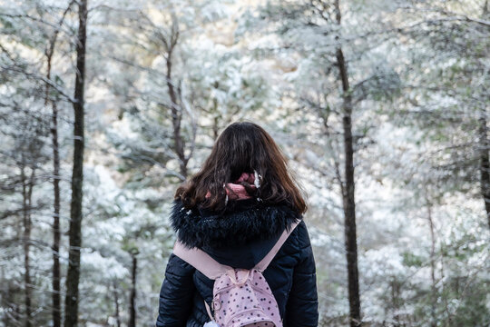 Rear view of lonely girl in snow forestRear view of lonely girl in snow forest