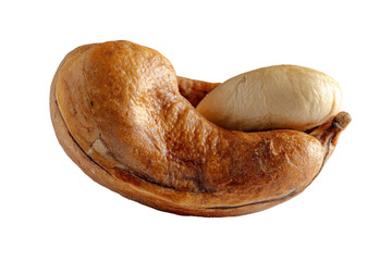 Whole cashew nut with shell isolated on transparent background. Single unprocessed cashew nut in shell with detail texture isolated on white background.