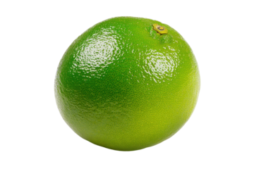 Single green lime isolated on transparent background. Fresh green lime fruit isolated on white background.