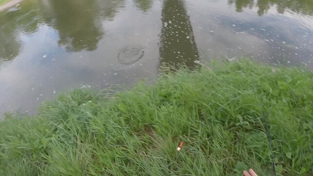 POV Fishing: Fisherman Hands Unhooking Small Bleak Fish Catch by River, First Person View of Angler Holding Alburnus Alburnus, Catch and Release Hobby, Outdoor Recreation and Summer Leisure Activity