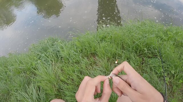 POV Fishing: Fisherman Hands Unhooking Small Bleak Fish Catch by River, First Person View of Angler Holding Alburnus Alburnus, Catch and Release Hobby, Outdoor Recreation and Summer Leisure Activity