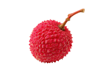 Single ripe red lychee fruit with stem isolated on transparent background. Close-up studio shot of a single ripe red lychee fruit with stem isolated on white background.