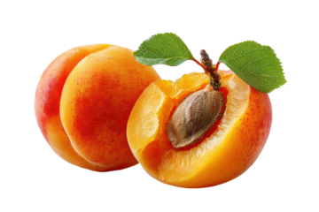 Fresh apricots with a leaf isolated on transparent background. Fresh ripe apricots with one halved showing seed and green leaves isolated on white background.