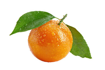 Fresh orange fruit with green leaves and water droplets isolated on transparent background. Fresh ripe orange citrus fruit with green leaves isolated on white background.