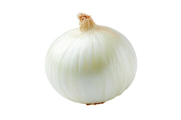 Single white onion isolated on transparent background. Single whole white onion bulb isolated on white background.