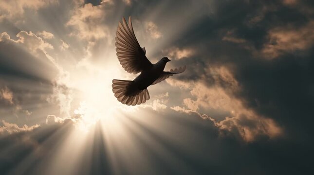 A dove silhouette formed by sunlight breaking through clouds, soft and ethereal, conveying peace, hope, and a universal sacred language through gentle light and sky.
