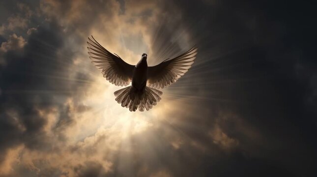 A dove silhouette formed by sunlight breaking through clouds, soft and ethereal, conveying peace, hope, and a universal sacred language through gentle light and sky.
