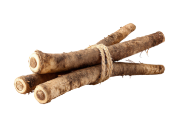 Bundle of dried licorice roots isolated on transparent background. Close-up of dried ginger roots bundled together isolated on white background.