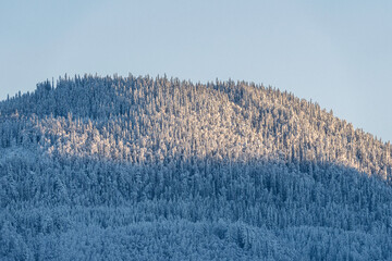 Winter light on a hilltop of the eastern parts of the Totenaasen Hills, Norway.