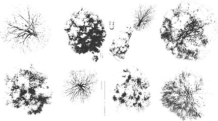 Eight black and white down tree silhouettes with varied textures and branch patterns view © appl
