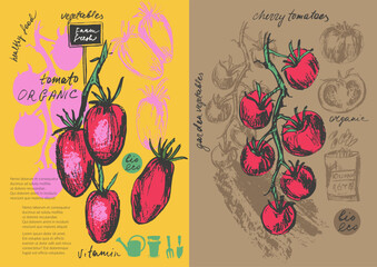 Hand drawn ink tomato vegetable sketches set. Food drawings for labels and packaging.