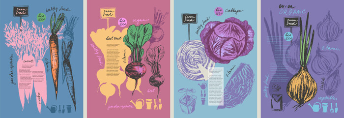 Hand drawn ink onion, carrot, red cabbage vegetable background set.
