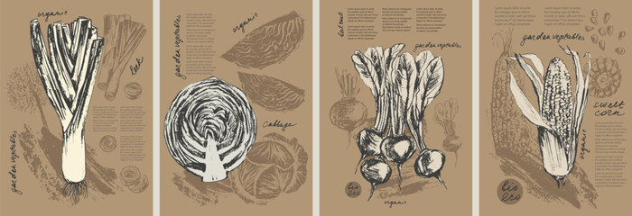 Hand drawn ink leek, cabbage, beet, corn vegetable background set. Food drawings for labels and packaging. Vegetarian menu. Healthy diet.