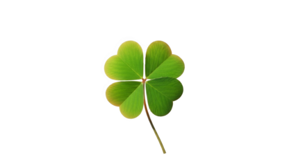 Four leaf clover isolated on transparent background symbolizing good luck and fortune in nature
