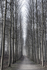 H&oslash;rsholm in denmark