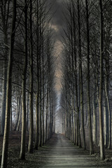 H&oslash;rsholm in denmark