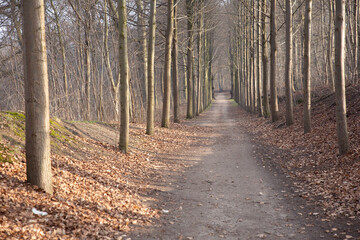 H&oslash;rsholm in denmark