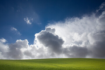 Agricultural field between H&oslash;rsholm and Birker&oslash;d in Denmark in the summer