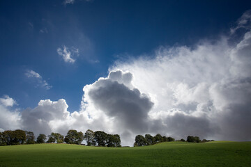 Agricultural field between H&oslash;rsholm and Birker&oslash;d in Denmark in the summer