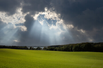 Agricultural field between H&oslash;rsholm and Birker&oslash;d in Denmark in the summer