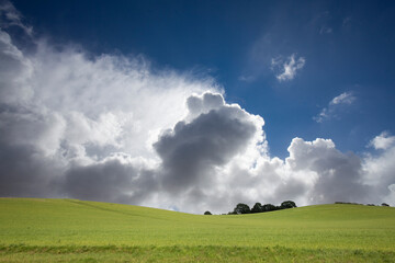 Agricultural field between H&oslash;rsholm and Birker&oslash;d in Denmark in the summer