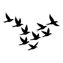 Obraz premium Vector silhouettes of birds isolated on transparent background