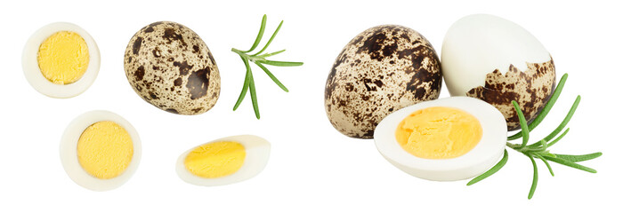 boiled quail egg isolated on white background with full depth of field. Top view. Flat lay
