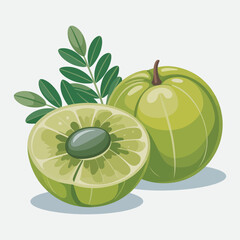 Illustration of top ranked phyllanthus emblica fruit, green apple with fresh leaves, isolated on white background, ideal for herbal labels, natural remedy branding, and health focused packaging design