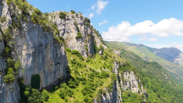 Majestic griffon vulture soaring over a deep green canyon. Sunny day revealing the beautiful and wild nature of the crete mountains