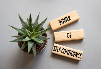Self-Confidence symbol. Wooden blocks with words Power of Self-Confidence. Beautiful grey background with succulent plant. Business concept. Copy space.