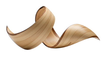 Abstract natural wood sculpture, curved organic form, isolated on white background