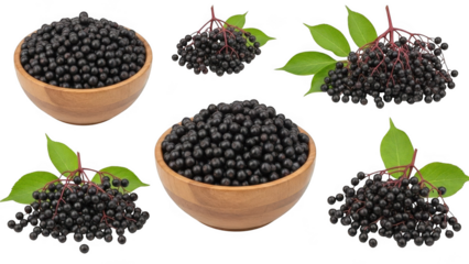 Elderberries in bowls and on branches with leaves isolated on transparent background Keywords