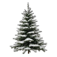 Snowy christmas tree