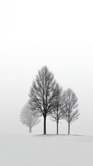 Fototapeta premium Bare winter trees stand silently in a vast foggy snow covered landscape