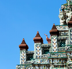 ave rojiza en la escalinata