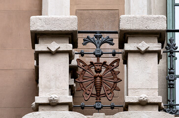 mariposa entre columnas