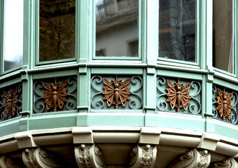 mariposas marrones sobre verde