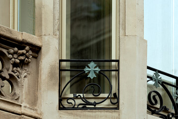 flora verde en la barandilla de hierro