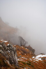 trees in the mountains among the clouds, Italy