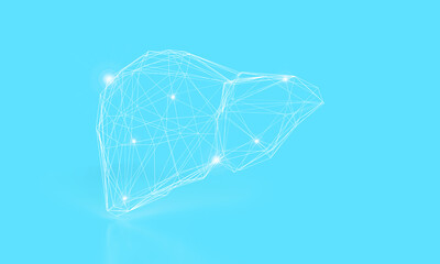 Digital Liver Model: A glowing wireframe representation of human liver anatomy against a serene blue background, symbolizing medical technology and biological precision.